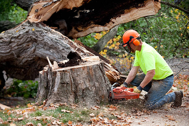 Best Commercial Tree Services  in Cresson, TX